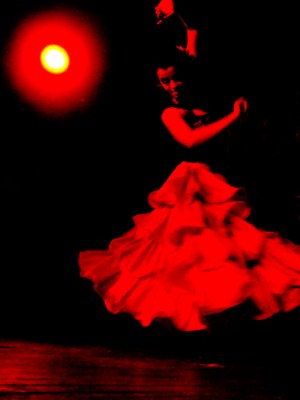 flamenco 064