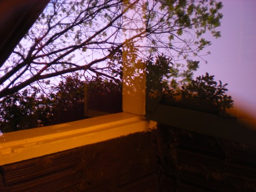 série "em outras" | Londrina | Fernanda Magalhães