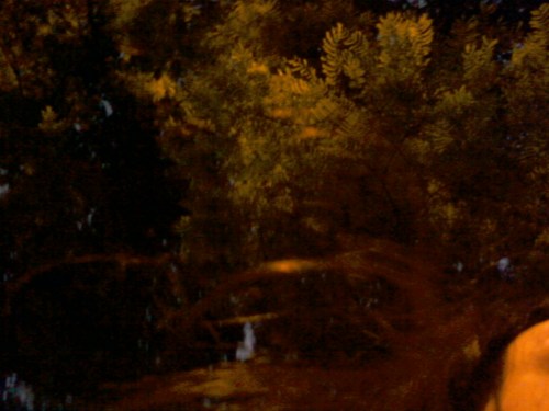 Sem título | São Paulo | Gabriela Canale