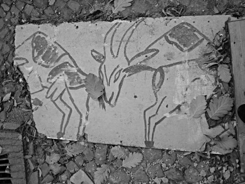 Bodes Urbanos - Berlin - Ísis Fernandes