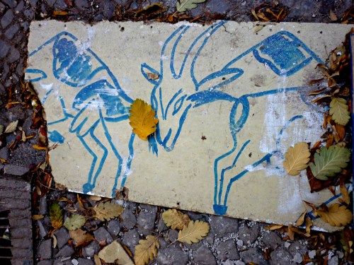 Bodes Urbanos II - Berlin - Ísis Fernandes