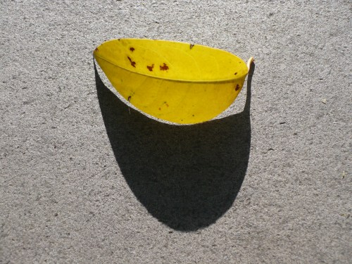 Verso | Porto Alegre | São Paulo