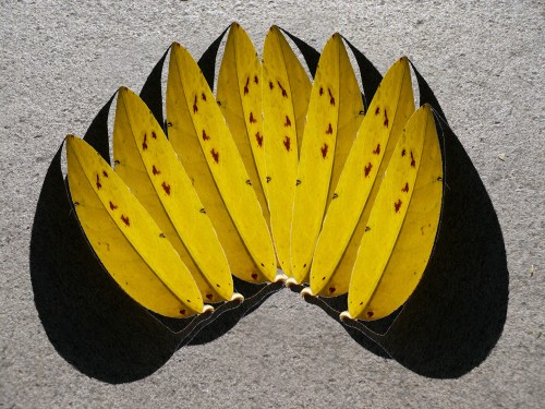 YELLOW 2 - Margareth Miola - Luciana Franzolin