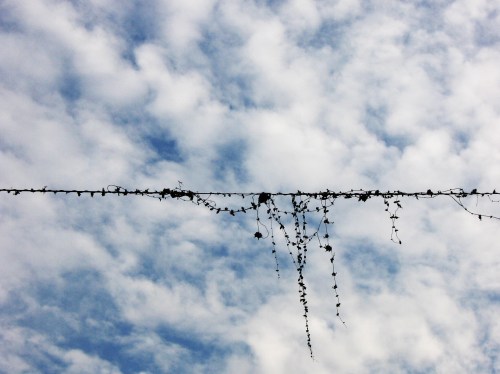 untitled - porto alegre - viviane gueller