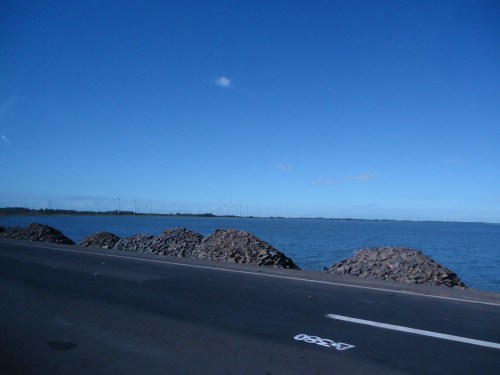 untitled - osorio - viviane gueller