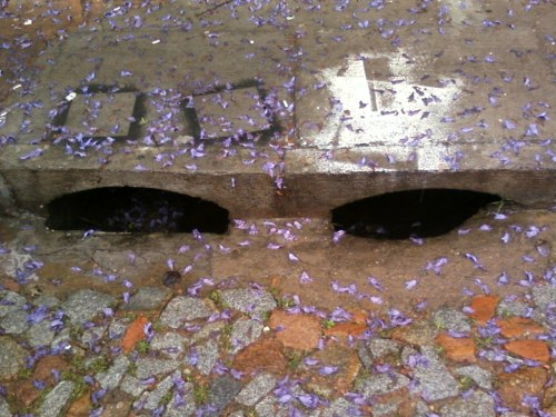 untitled - porto alegre - viviane gueller