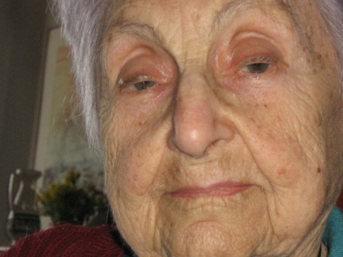 vó - porto alegre - viviane gueller