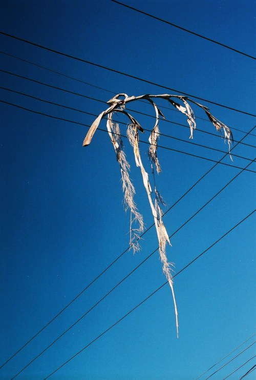 untitled - porto alegre - viviane gueller