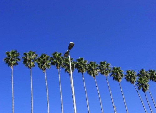 untitled - porto alegre - viviane gueller