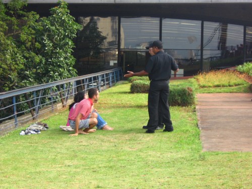 untitled - são paulo - viviane gueller