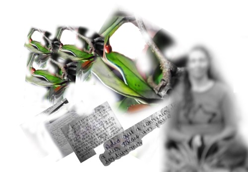 colagem - São Paulo - Gabriela Canale