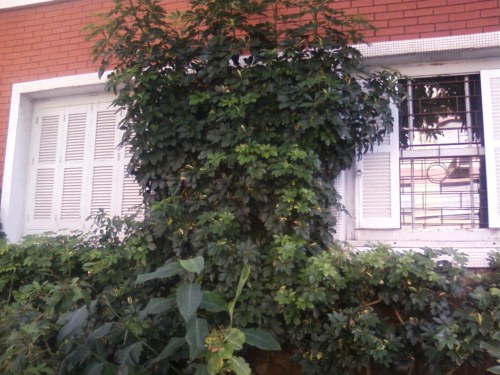 me leva - porto alegre - viviane gueller