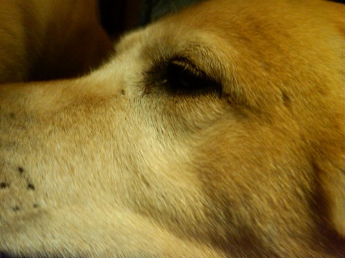 Tão perto, tão íntimo - Atibaia - Jaime Scatena