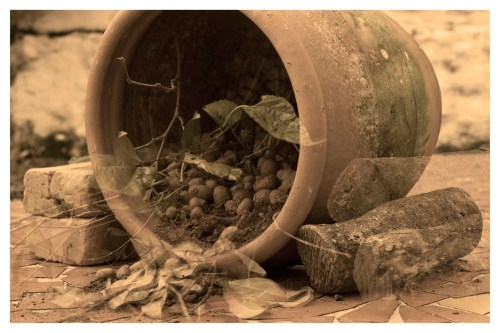 O tom-tempo das coisas: o sépia - Atibaia - Jaime Scatena