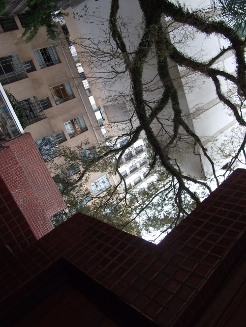 Será que hoje cai? | Curitiba | (CSRF.) Cesar Felipe Pereira