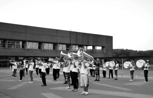 the band- sao paulo - gabriela canale