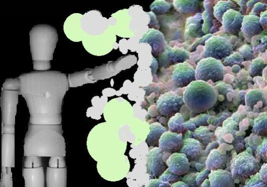 Câncer Neonazi | Curitiba | (CSRF.) Cesar Felipe Pereira