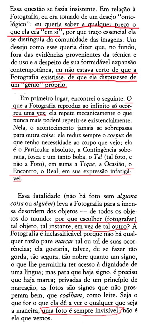 Barthes rabiscado | Curitiba | Ygor Raduy
