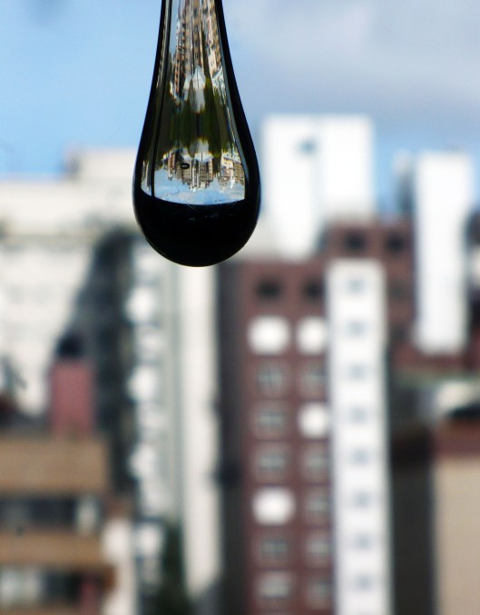 Cidade invertida - Porto Alegre - Margareth Miola