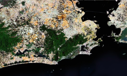 Mundo ou Fungo - São Paulo - Quim Alcantara