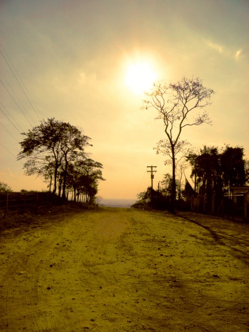 Natureza artificial | jaguariúna | Tiago Spina