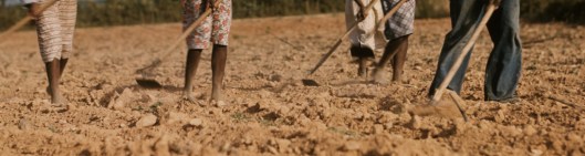 Dia de Carpir | São Paulo | Quim Alcantara Dia de Carpir | São Paulo | Quim Alcantara