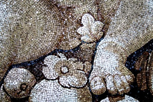 Seminu de Flores | Città del Vaticano | Jaime Scatena Seminu de Flores | Città del Vaticano | Jaime Scatena