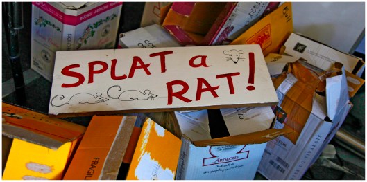 Splat_a_ Rat | London | R.Cambusano