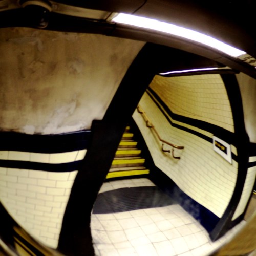 Distorted World | London | Jaime Scatena