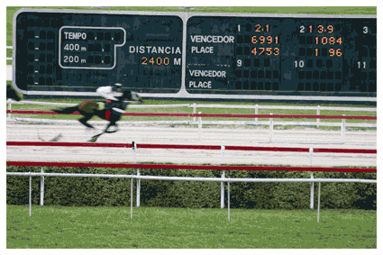 Jockey's Horses | São Paulo | Jaime-Scatena