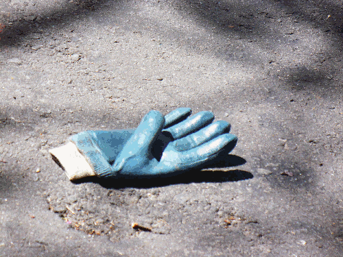 luva lisérgica ou luva Leary | Jaguariúna | Tiago Spina