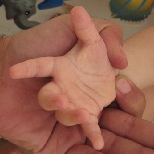 Palma Palma Palma | São Paulo | Jaime Scatena