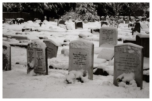 Rest in Peace | Bromley | Jaime Scatena