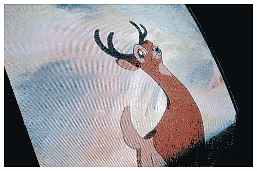 Depois da chuva, o sol vai reaparecer. É a vida. | Atibaia | Jaime Scatena