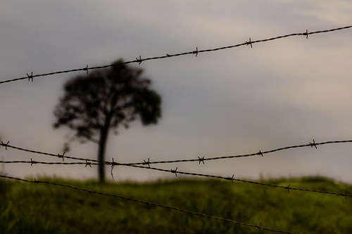 Far from heaven | Atibaia | Júnior Amojr Far from heaven | Atibaia | Júnior Amojr