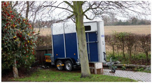 hidden horse behind the tree | Derby | R.Cambusano