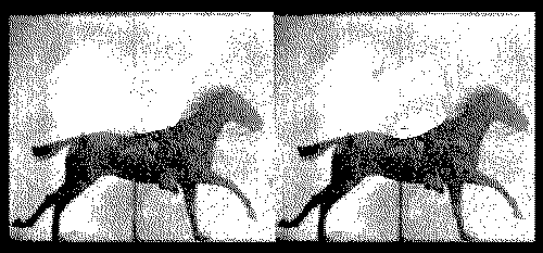 free move... | Jaguariúna | Tiago Spina