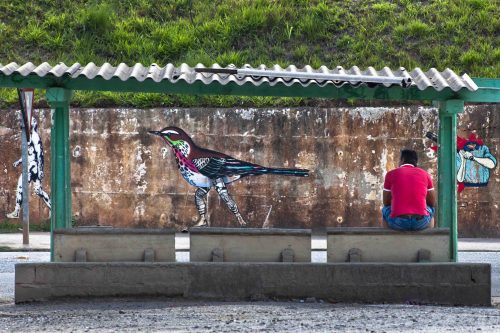 Tudo é passageiro | Atibaia | Junior Amojr