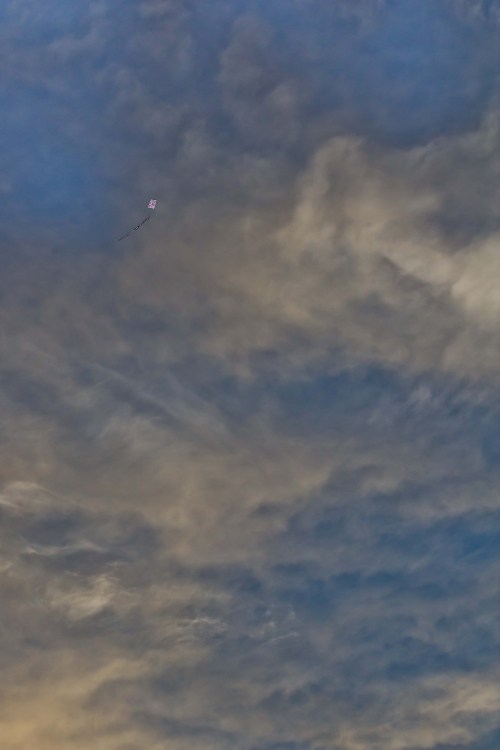 Preso por uma linha, existi no vento.. | Atibaia | Junior Amojr Preso por uma linha, existi no vento.. | Atibaia | Junior Amojr