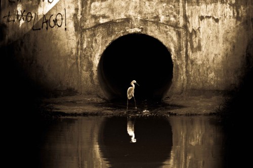 Resistindo | Atibaia | Junior Amojr Resistindo | Atibaia | Junior Amojr