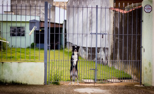 Forasteiro | Atibaia | Phelipe Aquino