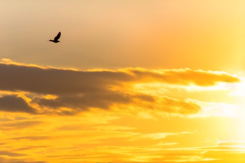 O meu clichê de todas as tardes | Atibaia | Junior Amojr O meu clichê de todas as tardes | Atibaia | Junior Amojr