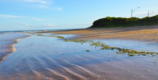 a réstia | Serra | Gabriela Canale