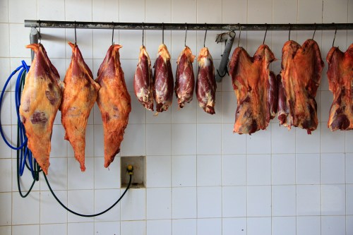 A carne é fraca | Elza Cohen | São Paulo