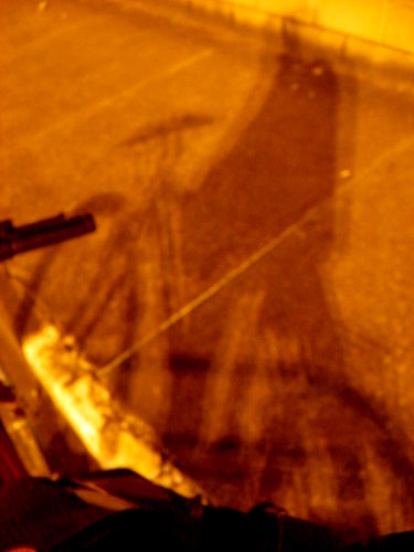 Bicicleta dourada... | Jaguariúna | Tiago Spina