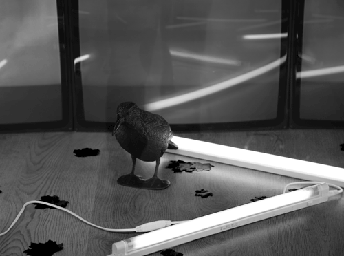 FREAKING-LIGHT-AND-BLACK-BIRD | LONDON | R.CAMBUSANO