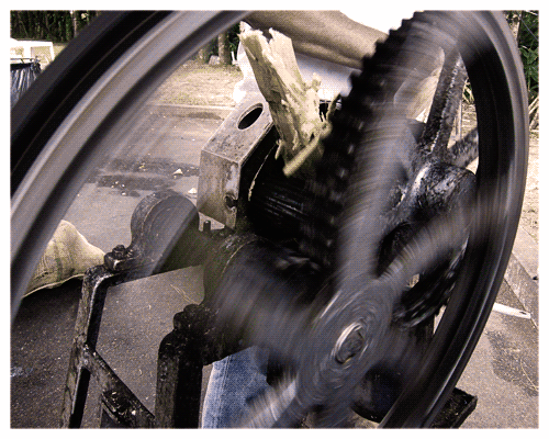 Gira Mundo, Gira Cana | Teresópolis | Jaime Scatena