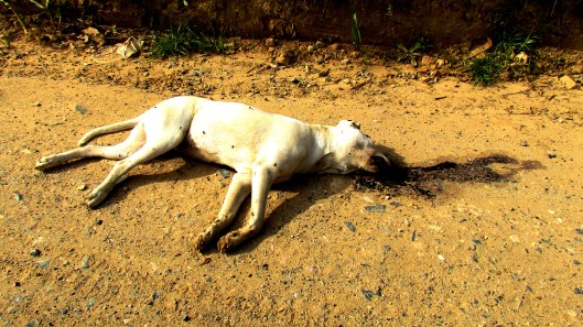 Já era! | Curitiba | Marlon Anjos