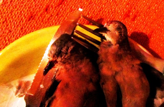 (foto roubada II) Foi II ! Curitiba | Marlon Anjos