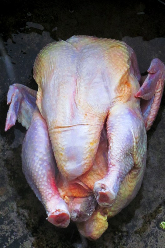 (foto roubada) foi ! Curitiba | Marlon Anjos